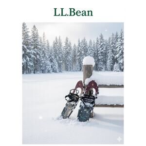 Premium L.L. Bean Winter Walker Snowshoes by Tubbs Sz 27,